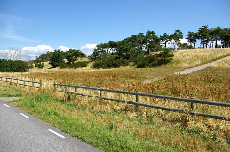 Foto af Järavallen mellem Landskrona og Barsebäck i Skåne, en sandvold skabt for ca. 7000 år siden. Foto: Sven Rosborn.